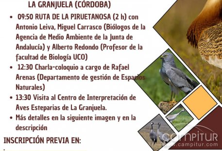 Ruta sobre Aves Esteparias en la ZEPA Alto Guadiato  